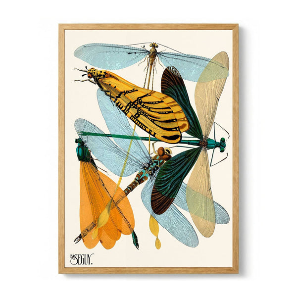 Insectes Pl.20 by Émile-Allain Séguy