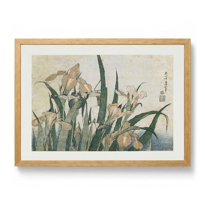Irises and Grasshopper von Katsushika Hokusai