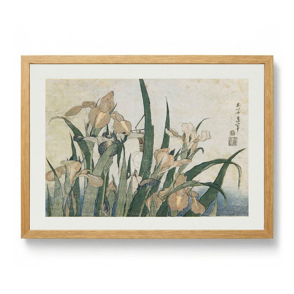 Irises and Grasshopper by Katsushika Hokusai