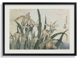 Irises and Grasshopper by Katsushika Hokusai - Kuriosis Fine Art GmbH