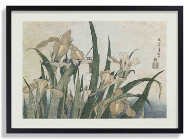 Irises and Grasshopper by Katsushika Hokusai - Kuriosis Fine Art GmbH