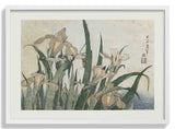 Irises and Grasshopper by Katsushika Hokusai - Kuriosis Fine Art GmbH