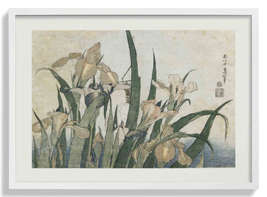 Irises and Grasshopper by Katsushika Hokusai - Kuriosis Fine Art GmbH