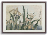 Irises and Grasshopper by Katsushika Hokusai - Kuriosis Fine Art GmbH