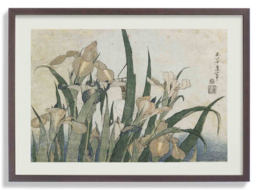 Irises and Grasshopper by Katsushika Hokusai - Kuriosis Fine Art GmbH