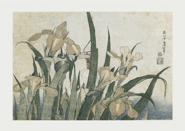 Irises and Grasshopper by Katsushika Hokusai - Kuriosis Fine Art GmbH