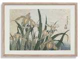 Irises and Grasshopper by Katsushika Hokusai - Kuriosis Fine Art GmbH