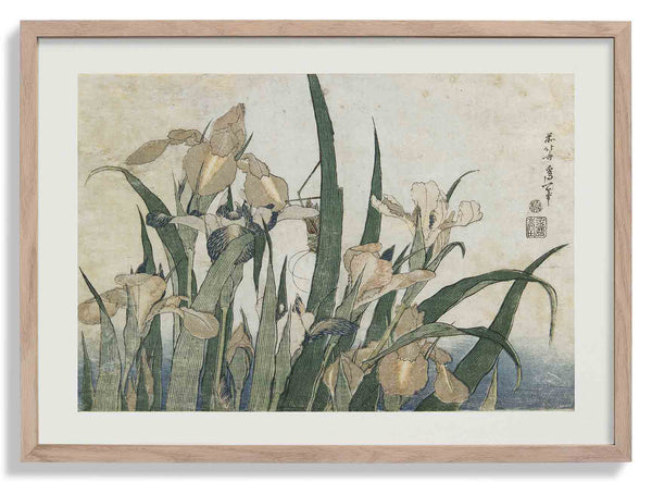Irises and Grasshopper by Katsushika Hokusai