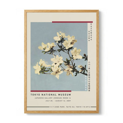 Japanese Azaleas by Kazumasa Exhibition