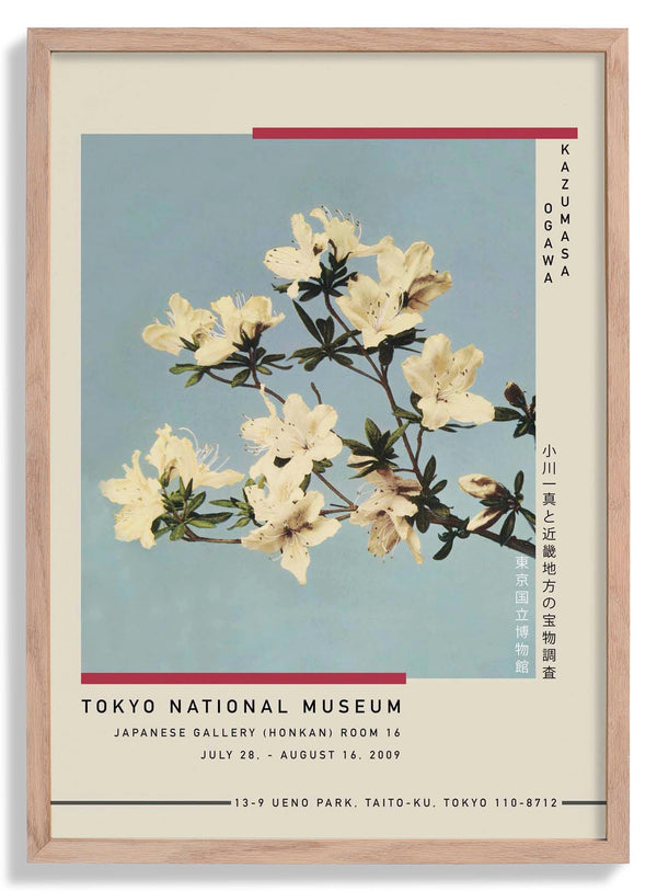 Japanese Azaleas by Kazumasa Exhibition