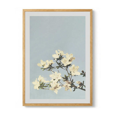 Japanese Azaleas by Ogawa Kazumasa