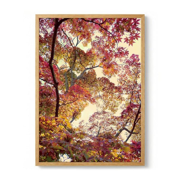 Japanese Garden by Angelo Cerantola