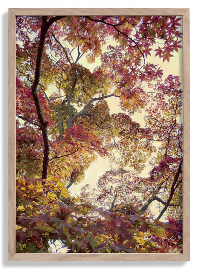 Japanese Garden door Angelo Cerantola