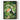 Jungle Toucan by Andrea Haase - Kuriosis Fine Art GmbH