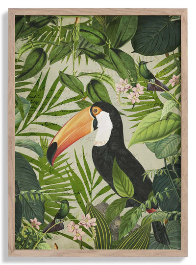 Jungle Toucan door Andrea Haase