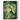 Jungle Toucan by Andrea Haase - Kuriosis Fine Art GmbH