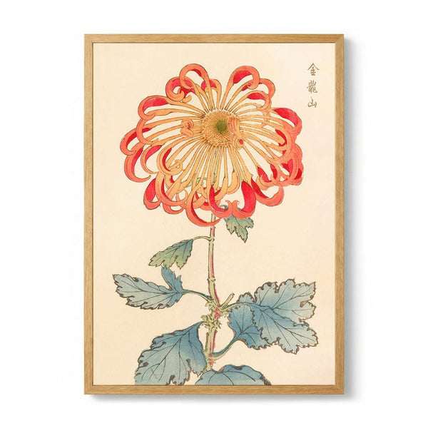 Keika hyakugiku Pl.08 1893 by Keika Hosegawa
