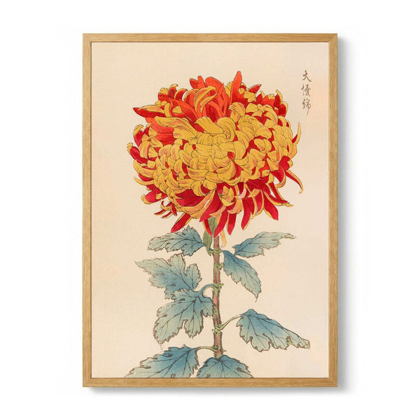 Keika hyakugiku Pl.12 1893 by Keika Hosegawa