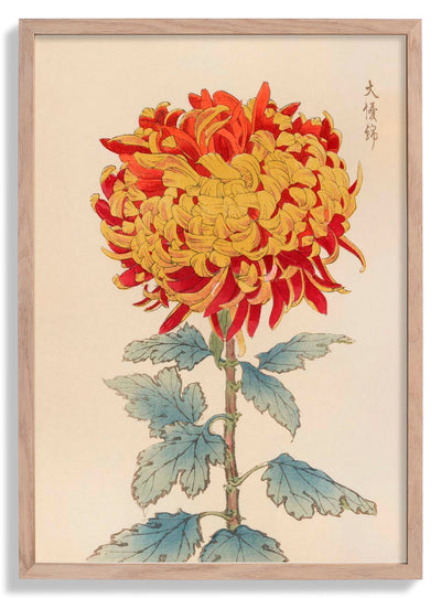 Keika hyakugiku Pl.12 1893 by Keika Hosegawa