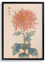 Keika hyakugiku Pl.15 1893 by Keika Hosegawa - Kuriosis Fine Art GmbH
