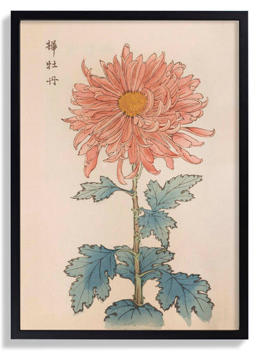 Keika hyakugiku Pl.15 1893 by Keika Hosegawa - Kuriosis Fine Art GmbH