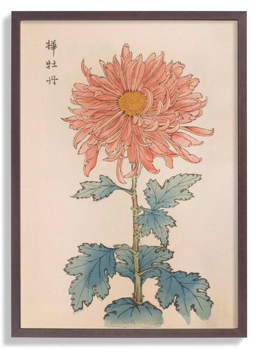 Keika hyakugiku Pl.15 1893 by Keika Hosegawa - Kuriosis Fine Art GmbH
