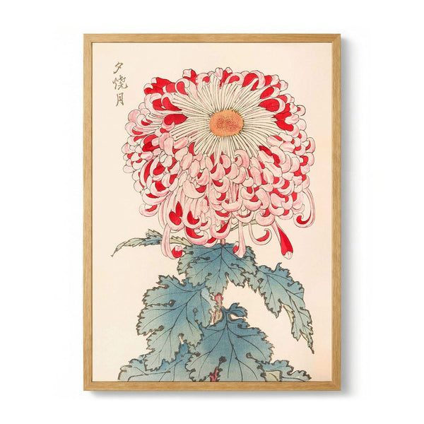Keika hyakugiku Pl.16 by Keika Hosegawa