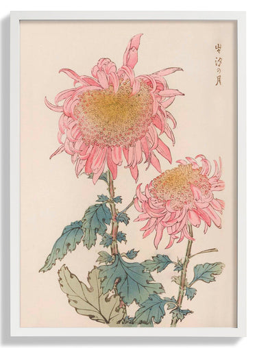 Keika hyakugiku Pl.17 1893 by Keika Hosegawa - Kuriosis Fine Art GmbH