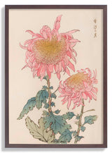 Keika hyakugiku Pl.17 1893 by Keika Hosegawa - Kuriosis Fine Art GmbH