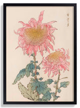 Keika hyakugiku Pl.17 1893 by Keika Hosegawa - Kuriosis Fine Art GmbH