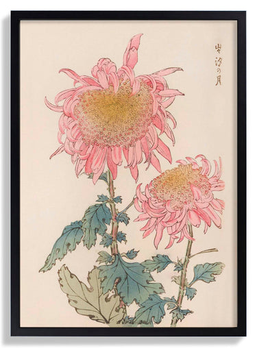 Keika hyakugiku Pl.17 1893 by Keika Hosegawa - Kuriosis Fine Art GmbH