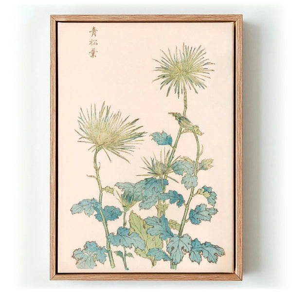 Keika hyakugiku Pl.18 by Keika Hosegawa - Kuriosis Fine Art GmbH
