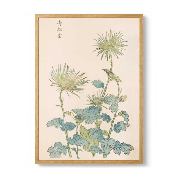 Keika hyakugiku Pl.18 by Keika Hosegawa - Kuriosis Fine Art GmbH