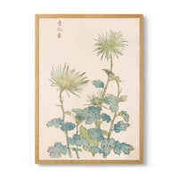 Keika hyakugiku Pl.18 by Keika Hosegawa - Kuriosis Fine Art GmbH