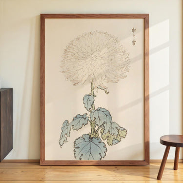 Keika hyakugiku Pl.19 by Keika Hosegawa - Kuriosis Fine Art GmbH