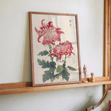 Keika hyakugiku Pl.23 by Keika Hosegawa - Kuriosis Fine Art GmbH