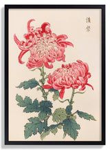 Keika hyakugiku Pl.23 by Keika Hosegawa - Kuriosis Fine Art GmbH