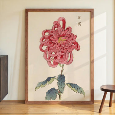 Keika hyakugiku Pl.25 by Keika Hosegawa - Kuriosis Fine Art GmbH