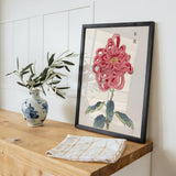 Keika hyakugiku Pl.25 by Keika Hosegawa - Kuriosis Fine Art GmbH