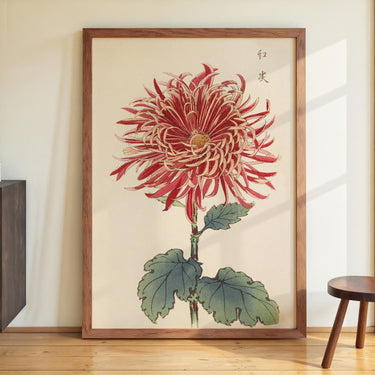 Keika hyakugiku Pl.27 by Keika Hosegawa - Kuriosis Fine Art GmbH