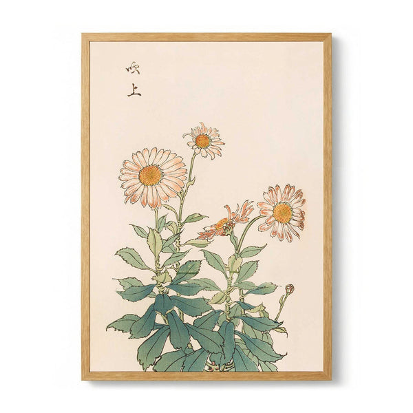 Keika hyakugiku Pl.30 by Keika Hosegawa - Kuriosis Fine Art GmbH