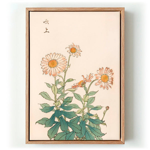 Keika hyakugiku Pl.30 by Keika Hosegawa - Kuriosis Fine Art GmbH