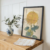 Keika hyakugiku Pl.31 by Keika Hosegawa - Kuriosis Fine Art GmbH