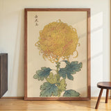 Keika hyakugiku Pl.31 by Keika Hosegawa - Kuriosis Fine Art GmbH