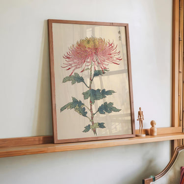 Keika hyakugiku Pl.32 by Keika Hosegawa - Kuriosis Fine Art GmbH