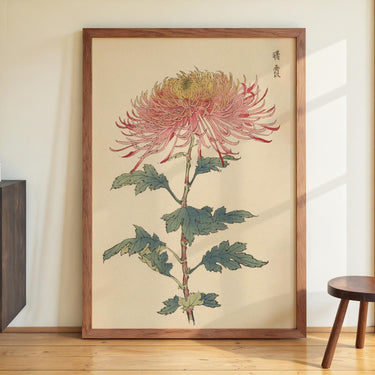 Keika hyakugiku Pl.32 by Keika Hosegawa - Kuriosis Fine Art GmbH