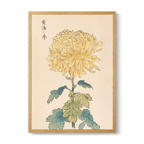 Keika hyakugiku Pl.33 di Keika Hosegawa