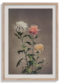 Kin - sui - ro by Ogawa Kazumasa - Kuriosis Fine Art GmbH