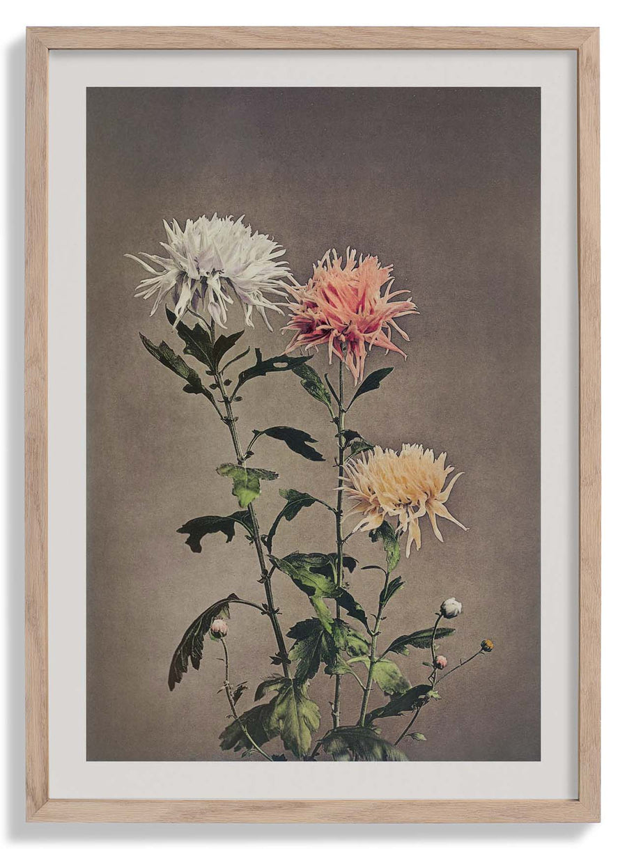 Kin - sui - ro by Ogawa Kazumasa - Kuriosis Fine Art GmbH