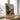 Landscape Art Exhibition by Van Gogh - Kuriosis Fine Art GmbH